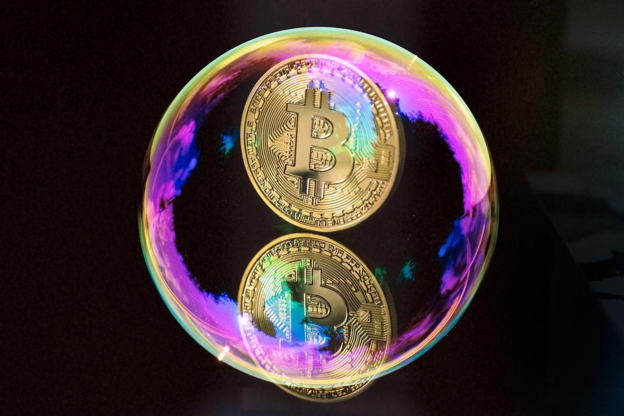 蒙蒂·唐对四月种植郁金香的人的紧急警告
