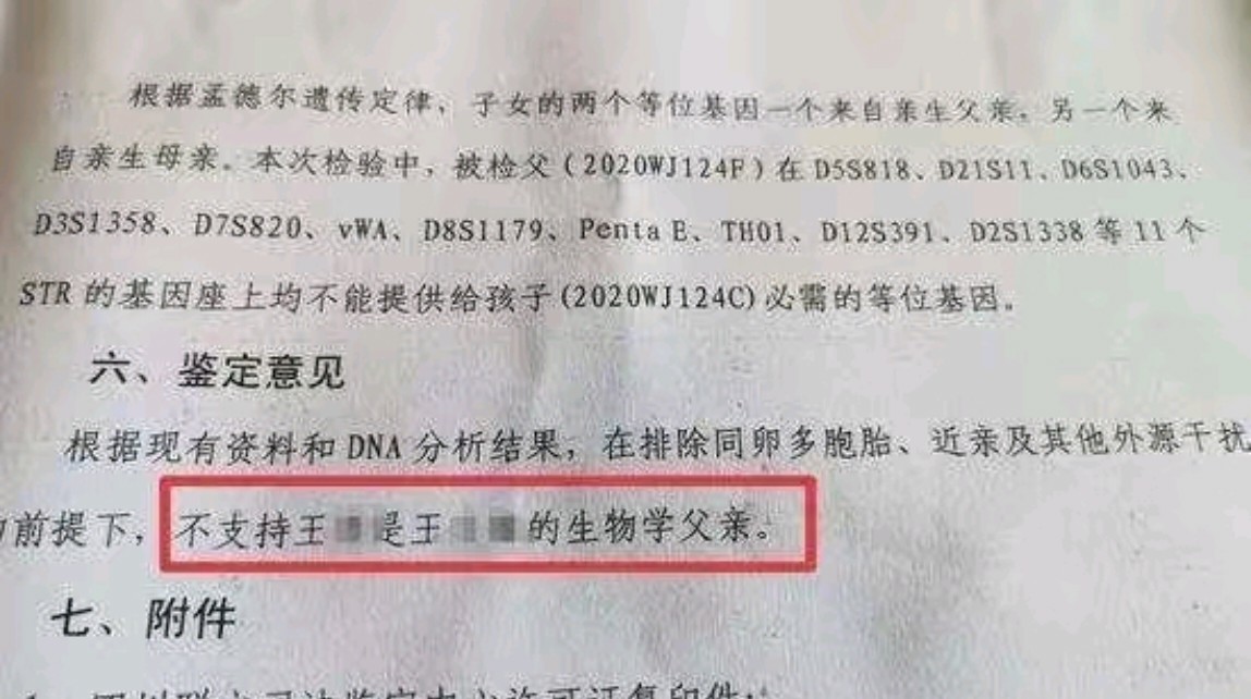 康纳·梅纳德回击夏洛特·奇尔顿，因为她对亲子鉴定提出了怀疑