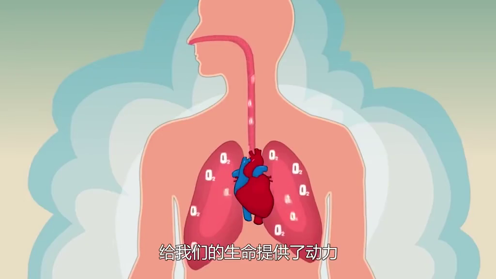 “心脏最大”的两个孩子的父亲在被伯明翰警车撞到后死亡
