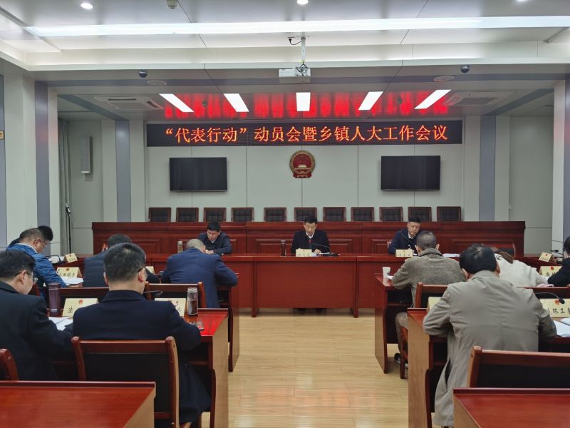 欧安组织观察员开始监督阿尔巴尼亚即将举行的议会选举